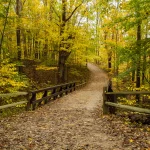 Autumn Scene. Photo by Matt Drews