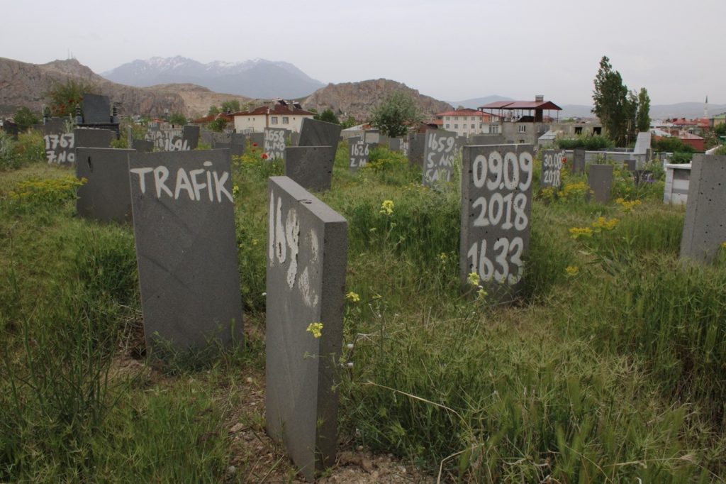 Photo Name and the year taken: Irregular Graves – 2023Place where it is taken: Northern Kurdistan – Eastern Turkey
Explanation: The Cemetery of the Nameless where even the afterlife is irregularly organized.
