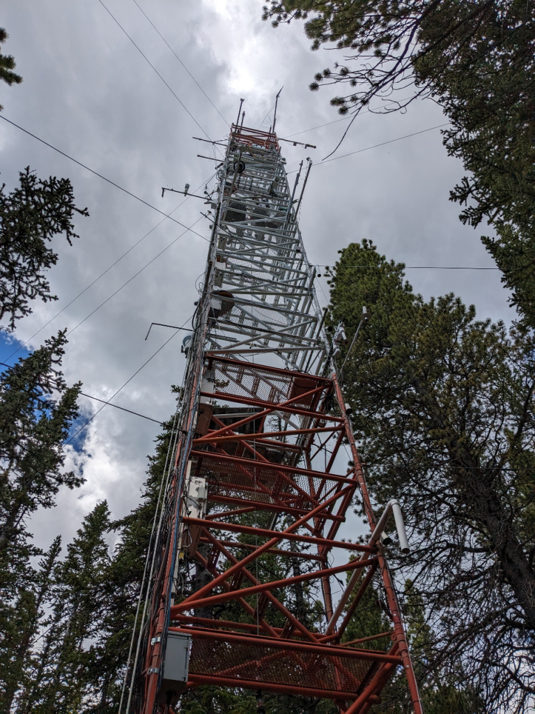 The Niwot Ridge flux tower, seen from the ground.
