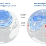 In mid-January, we experienced a period of extreme cold, high winds, and a couple of inches of snow, reminding us we are very much in the peak of winter. These blasts of Arctic air and wind are common during New Jersey winters, but is something else happening in the atmosphere? (photo by Rutgers University)
