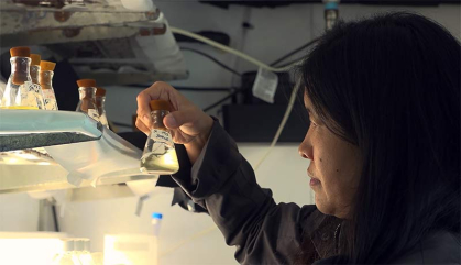 Marine scientist Kim Thamatrakoln examines phytoplankton collected during field study. The film shows how scientists develop novel ways to acquire data. Video capture, Tools of Science, Tilapia Film