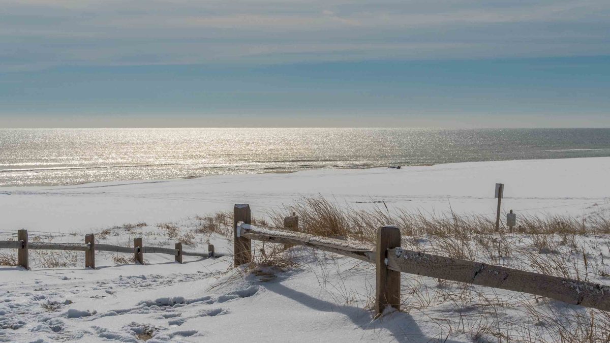 Snowy beach