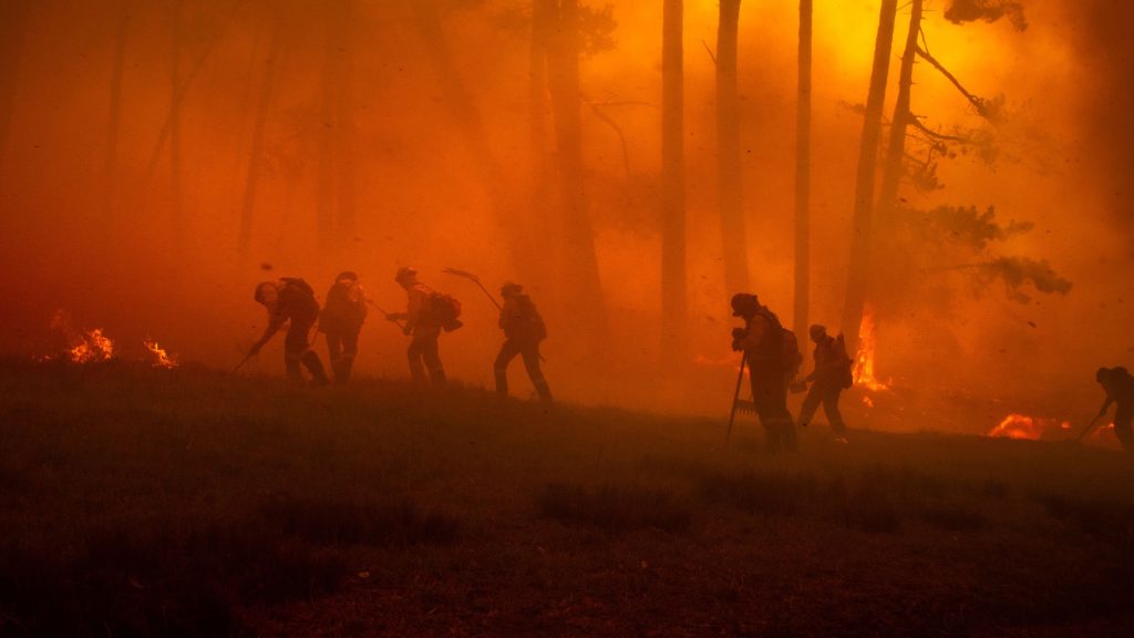 Firefighters on the ground in a forest fire. 