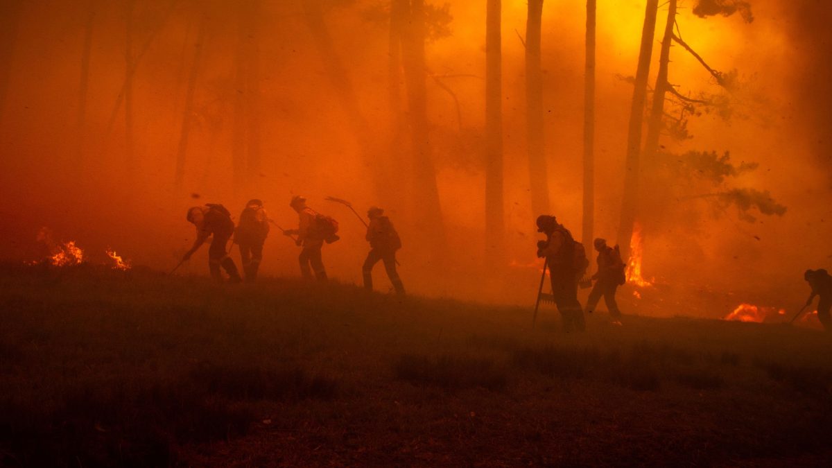 Firefighters on the ground in a forest fire.