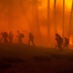 Firefighters on the ground in a forest fire.