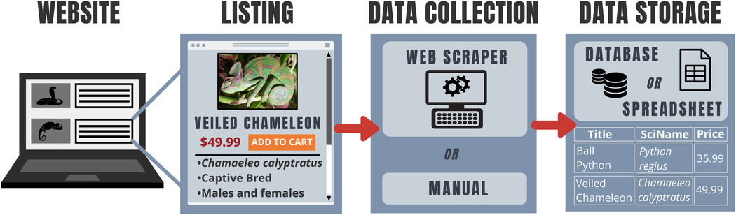 Data Collection and Storage Workflow for Online Wildlife Trade Monitoring