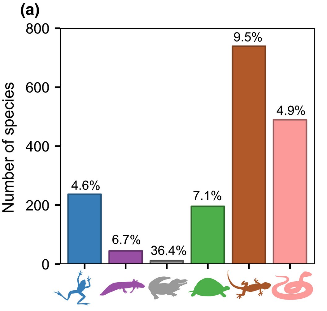 Species for Sale in the U.S. Exotic Pet Market by Taxonomic Group