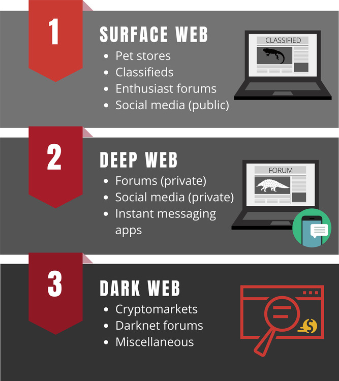 The Three Layers of Wildlife Trade on the Internet