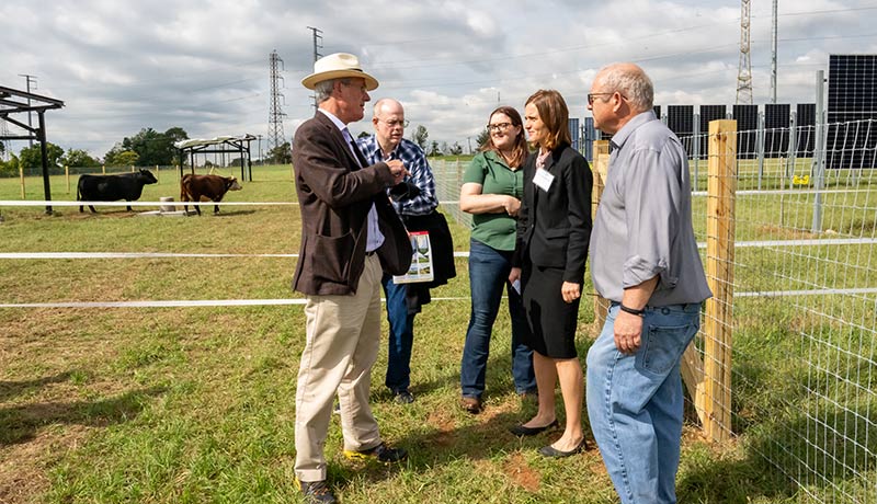 Rutgers School of Engineering Professor Dunbar Birnie (at left) and Rutgers colleagues discuss the technology of agrivoltaics with Becca Jones-Albertus, Director of the U.S. Department of Energy's Solar Energy Technologies Office (second from right.)