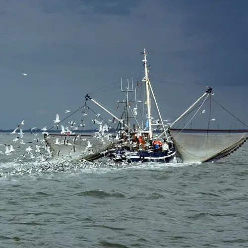 Fishing Boat