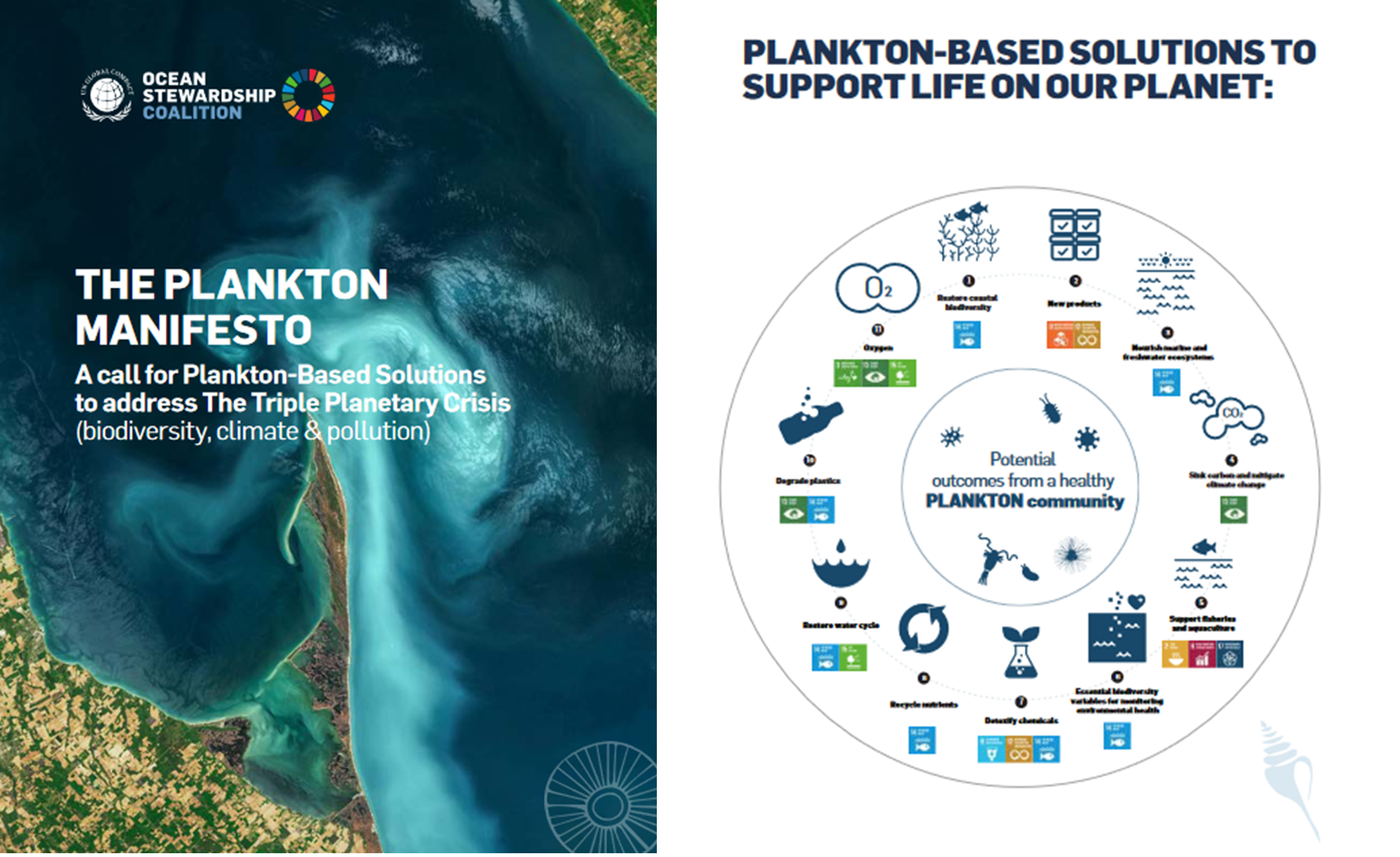 Featured image for “Paul Falkowski Among International Academic Leaders to Unveil Plankton Manifesto to UN General Assembly”