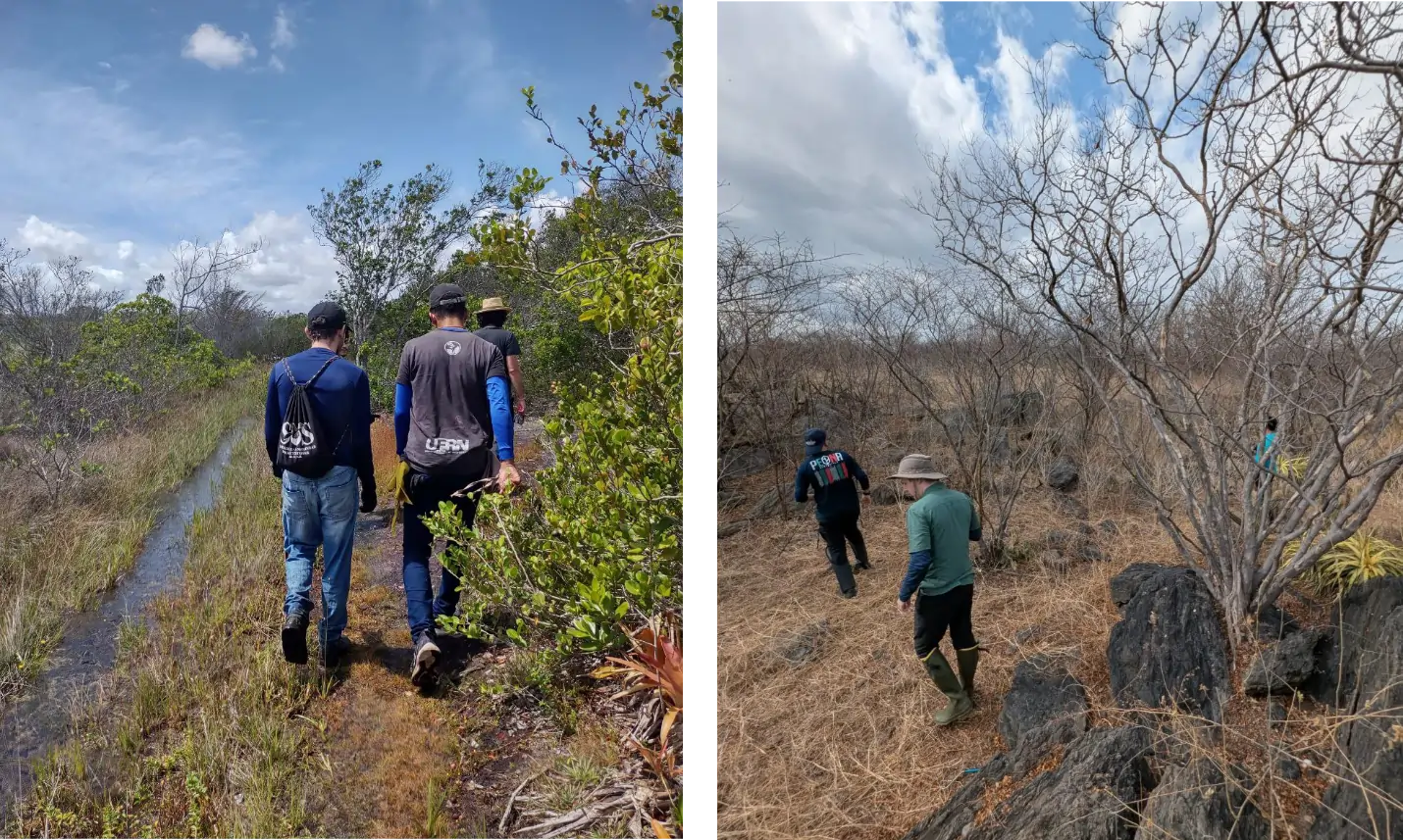 Field activities developed in Brazil, exploring the Atlantic Forest (left) and the Caatinga (right).