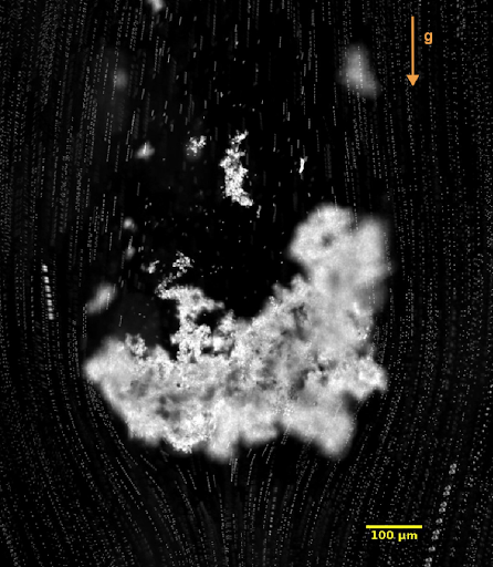 Microscale measurements of the flow field around sinking marine snow particles reveals an approximately ellipsoidal mucus halo (comet) enclosing the visible particulate aggregate. These mucous comments have lower density and can act as parachutes that impede sinking speeds of the aggregates.