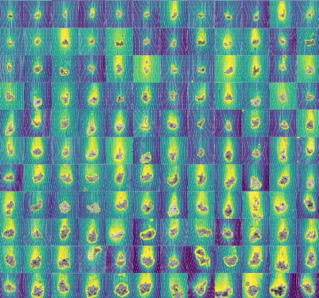 Analysis of a ‘zoo’ of particles from the Northwest Atlantic ocean revealed that the mucous tails were universal across a range of hydrodynamic fingerprints. They had escaped previous detection until visualized and analyzed with a novel gravity machine. The presence of the mucous tails fundamentally changes how we view particles and carbon flow in the oceans.