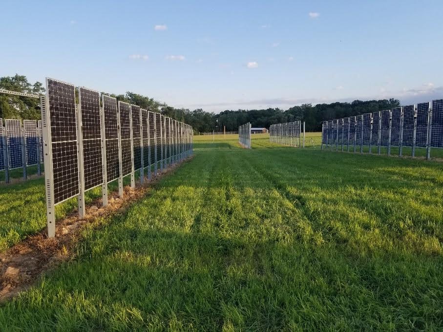  Late afternoon view of the Cook Campus array, looking south. The image highlights rows with inter-row shading. Photo courtesy of Dunbar Birnie, Rutgers University. 