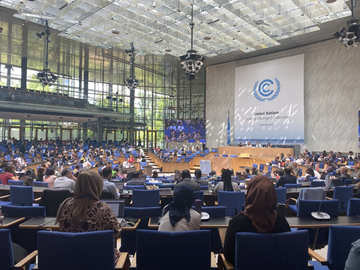 Countries meet in Chamber Hall at the UN climate change.