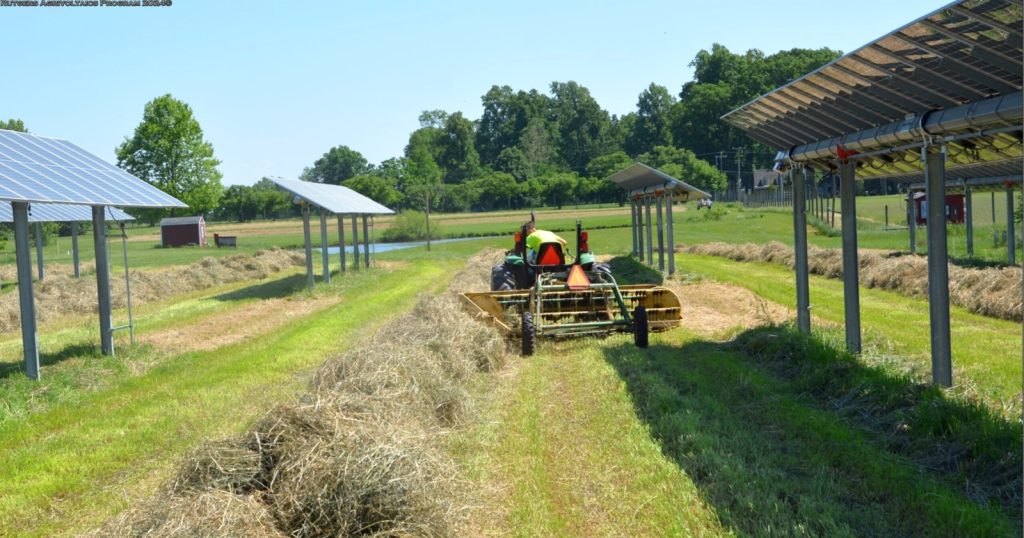 A farm worker managing the hay on a large field surrounded by solar panels 