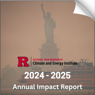 RCEI Report Logo