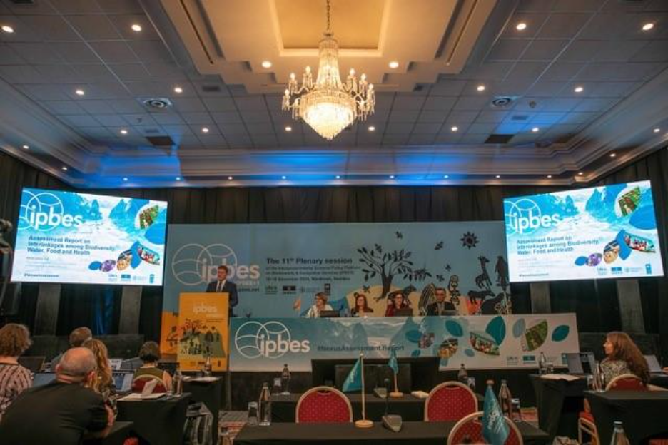 A stage and panel at the IPBES Nexus Assessment event, audience POV