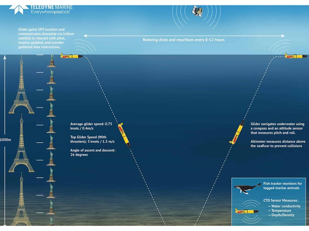 Diagram of the movement of the Redwing vehicle from the surface, down into the ocean, and up again to the surface. Reads "Glider gains GPS location and communicates shoreside via iridium satellite to interact with pilot, receive updated, and transfer gathered data instructions", "Redwing dives and resurfaces every 8-12 hours", "Average glider speed: 0.75 knots / 0.4 m/s", "Top Glider Speed (with thrusters): 3 knots / 1.5 m/s", "Angle of ascent and descent: 26 degrees", "Glider navigates underwater using a compass and an attitude sensor that measures pitch and roll", "Altimeter measures distance above the seafloor to prevent collisions", "Fish tracker monitors for tagged marine animals", and "CTD Sensor Measures: Water conductivity, temperature, depth/density". Depicts that the glider dives 1000 m, equivalent to 3 Eiffel Towers and 11 Statues of Liberty. 