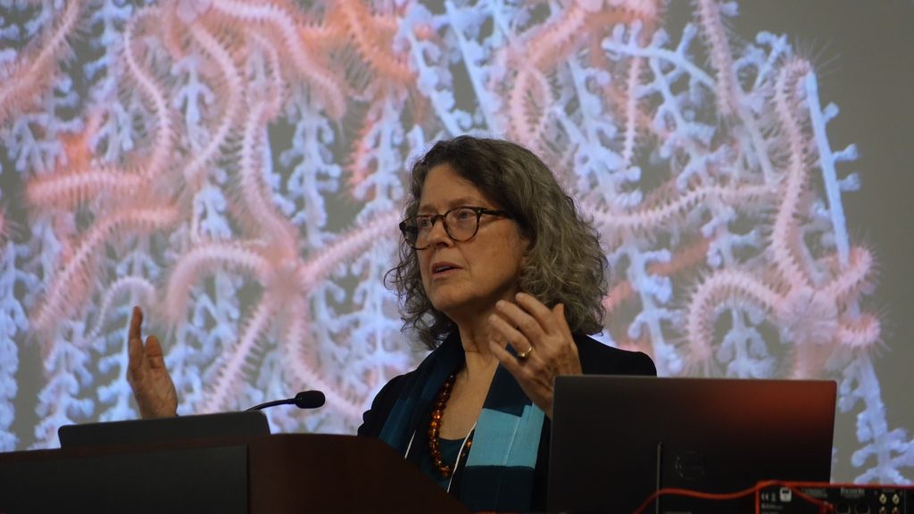 Cymie Payne highlights landmark global court opinions that link climate inaction—and even fossil fuel expansion—to state responsibility.