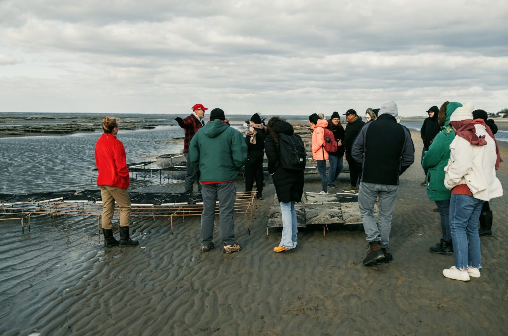 A group of faculty and staff stand on the sand at low tide listening to a speaker show them oyster farms near the shore 