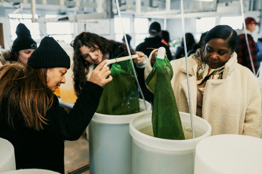 Participants pulling green nets out of buckets full of water and examining them in the hatchery