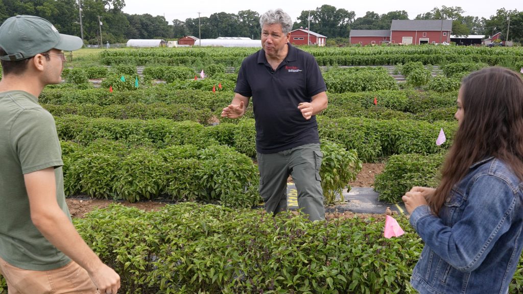 James Simon talks to two students in the middle of rows and rows of basil plants. Red barns in the background.