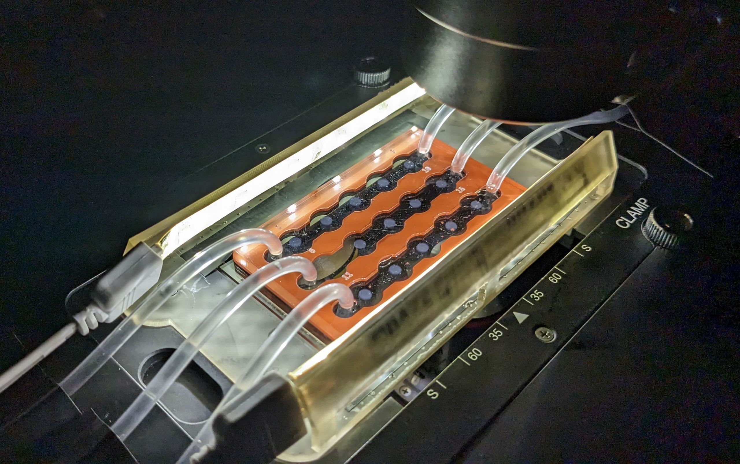 Featured image for “In the Ocean’s Marine ‘Snow,’ a Scientist Seeks Clues to Future Climate”