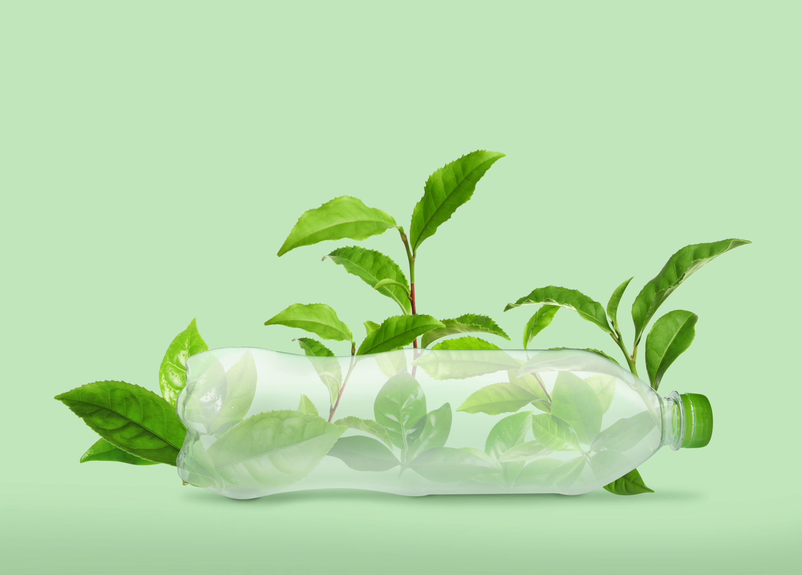 Featured image for “Are “Eco-Friendly” Plastics Really Better for the Environment?”