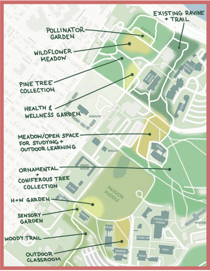 A aerial map of Cook-Douglass campus pointing out potential locations for implementing ideas such as a Pollinator Garden, Wildflower Meadow, Pine Tree Collection, Health & Wellness Garden, Meadow/Open Space for Studying + Outdoor Learning, Ornamental + Coniferous Tree Collection, H + W Garden, Sensory Garden, Woody Trail, Outdoor Classroom, and Existing Ravine + Trail.