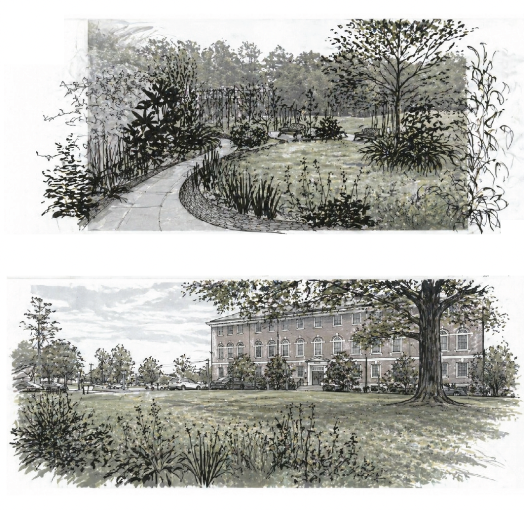 Two drawn sketches on top of each other of different potential green locations at Rutgers University. The top depicts a curved path lined with grasses, shrubs, and trees. The bottom depicts various ornamental plants and shrubs on a field with a Rutgers building in the background, potentially Martin Hall.