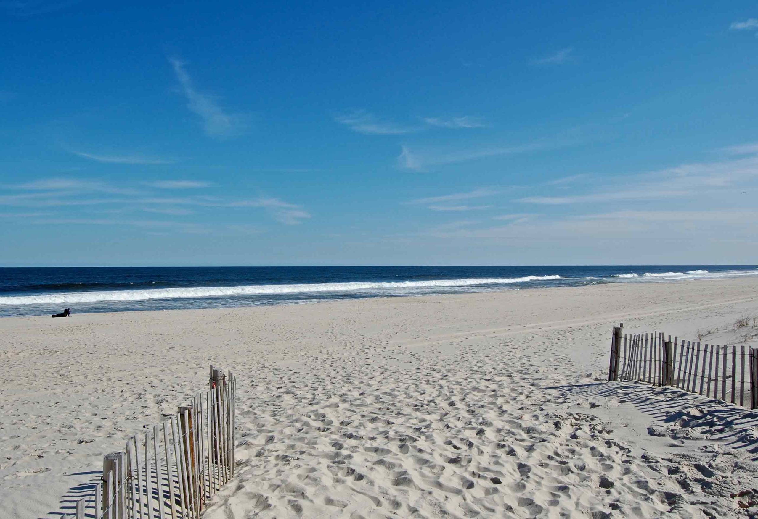Featured image for “The Hidden Forces Shaping the Jersey Shore”