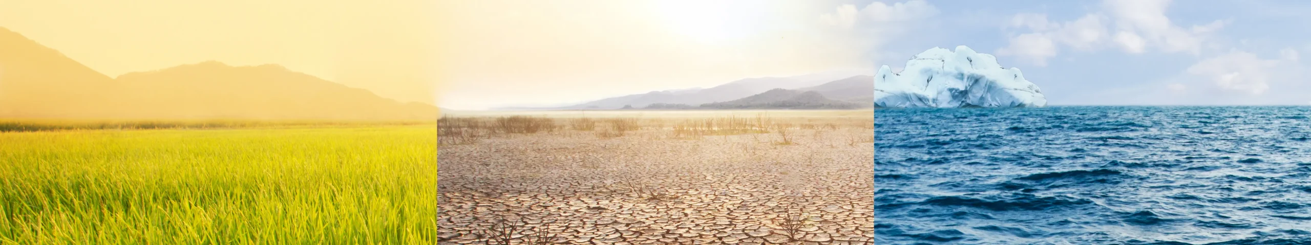 grass desert and sea