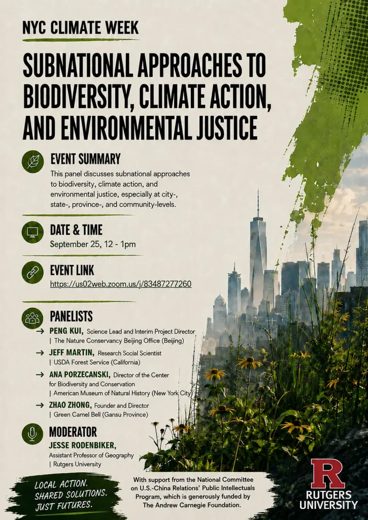 Subnational approaches flyer. Relevant info repeated in text below.
