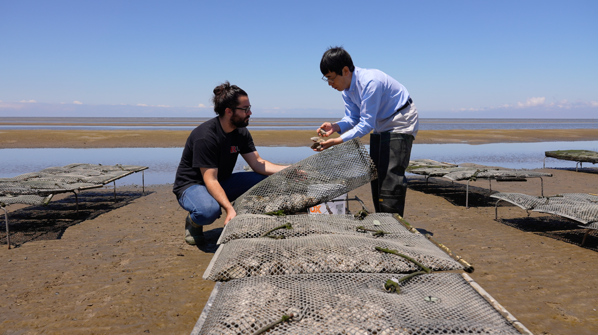 Featured image for “Shellfish Geneticist Ximing Guo Among Two Rutgers Research Teams to Receive 2026 Edison Patent Awards”